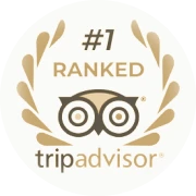 Altezza Travel – dobitnik nagrade Tripadvisor Travellers' Choice 2026