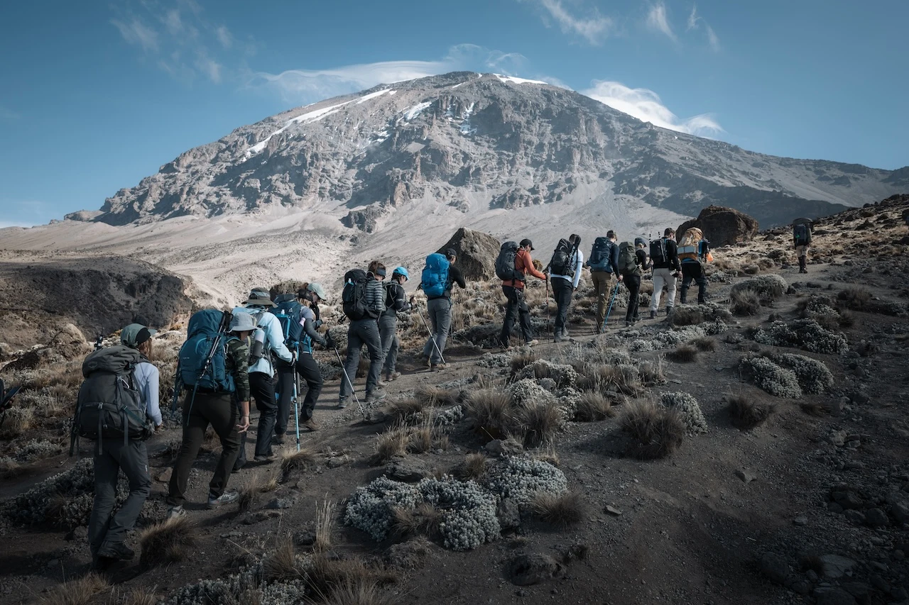 Planinari Altezza Travela na zajedničkom putovanju na Kilimanjaro