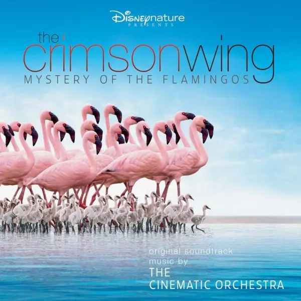 Naslovnica dokumentarnog filma „The Crimson Wing: Mystery of the Flamingos”