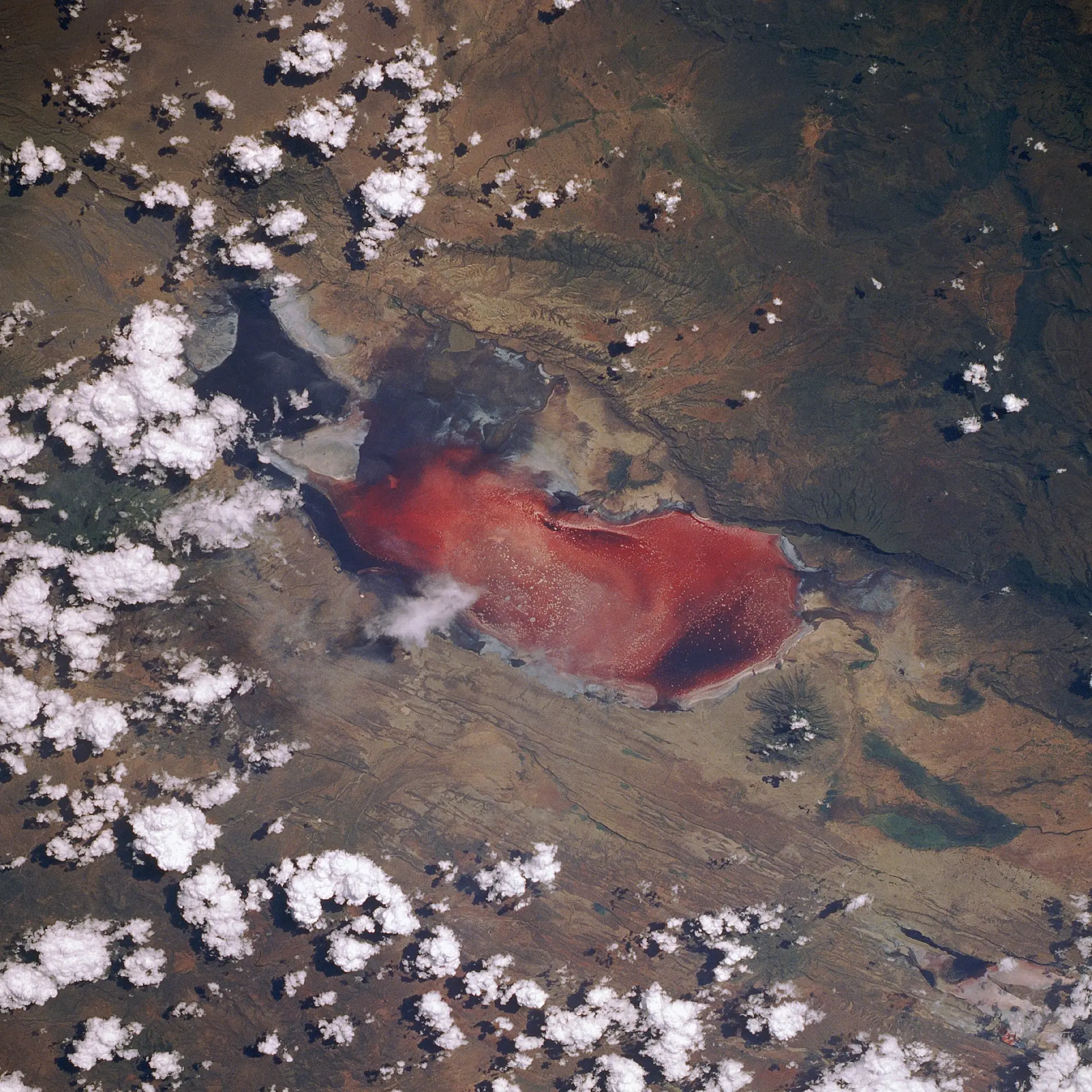 Jezero Natron, ponekad nazivano „smrtonosnim crvenim jezerom”, snimljeno iz svemirskog shuttlea Discovery tijekom misije STS-29. FOTO: NASA