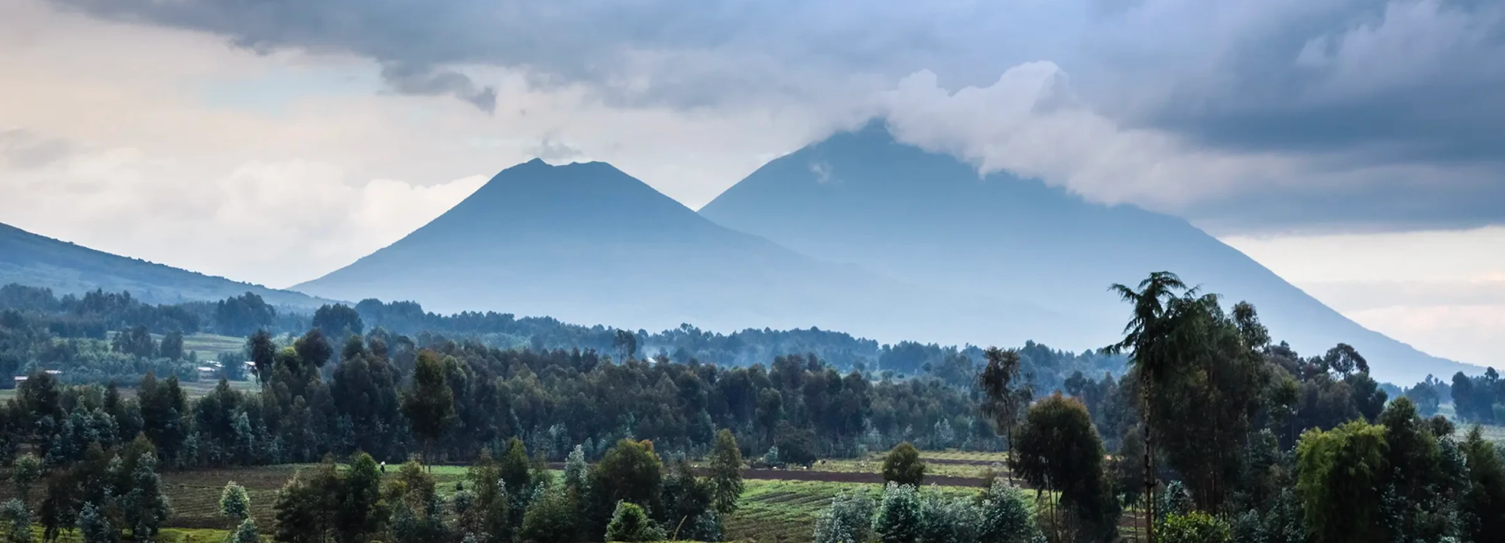 Nacionalni park Volcanoes