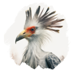 Ptica tajnica