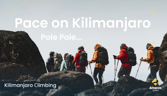 Pravi tempo na Kilimanjaru | Altezza Travel