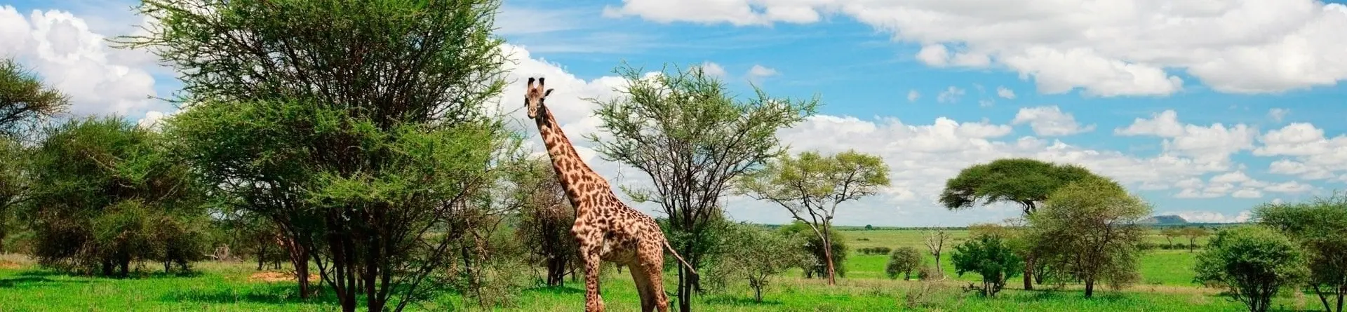Nacionalni park Arusha