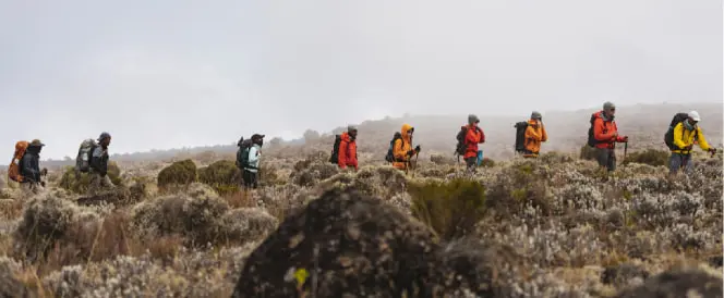 Ruta Northern Circuit – dan 6 – Trekking od kampa Buffalo do kampa 3rd Cave