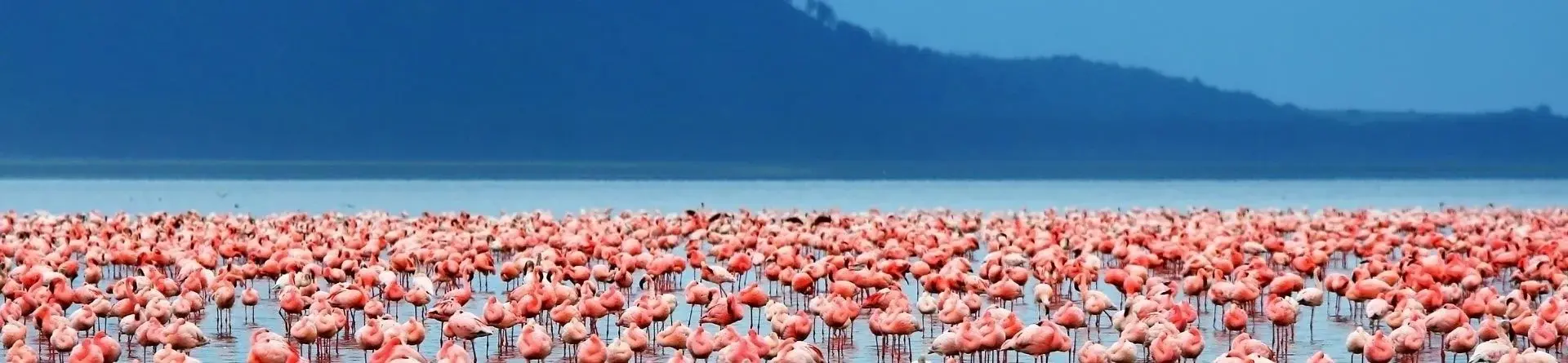 Jezero Manyara
