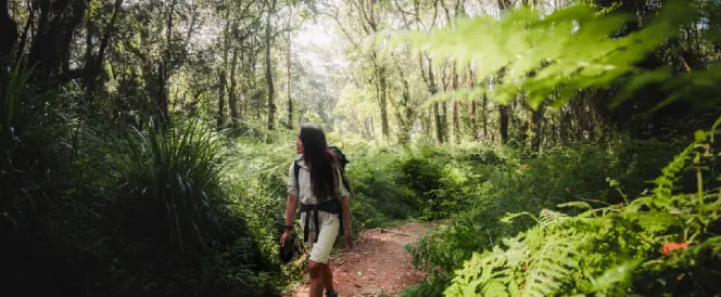 Ruta Machame – dan 7 – Silazak od kampa Millennium do Mweka Gatea