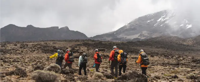 Ruta Northern Circuit – dan 4 – Trekking od kampa Shira 2 do Moir Huta preko Lava Towera