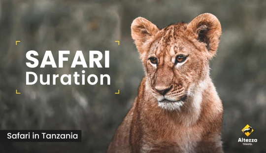 Planiranje safarija: koliko vam dana treba?