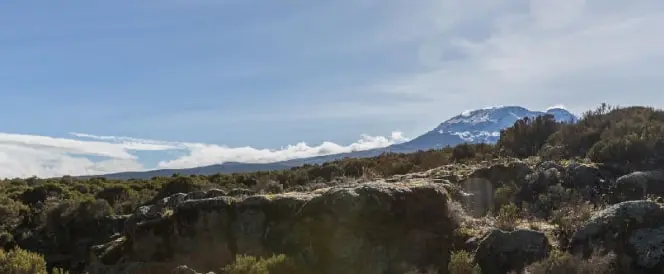 Ruta Marangu – dan 3 – Trekking od kolibe Mandara do kolibe Horombo