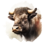 Bivol