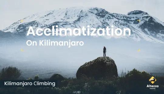 Aklimatizacija na Kilimanjaru | Altezza Travel