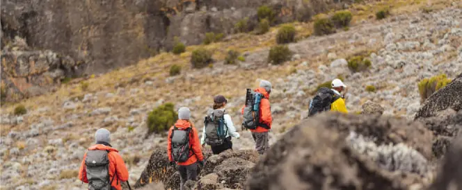 Ruta Rongai – dan 5 – Trekking od Mawenzi Tarn Campa do Kibo Hut Campa