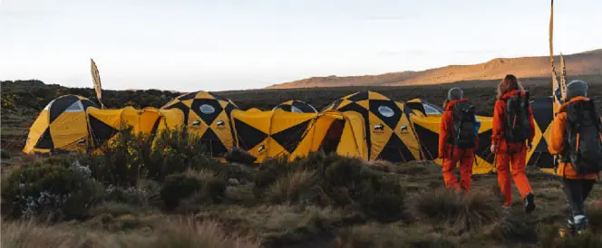 Ruta Northern Circuit – dan 3 – Trekking od kampa Shira 1 do kampa Shira 2
