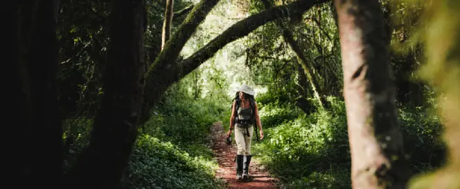 Ruta Machame – dan 2 – Trekking od Machame Gatea do kampa Machame