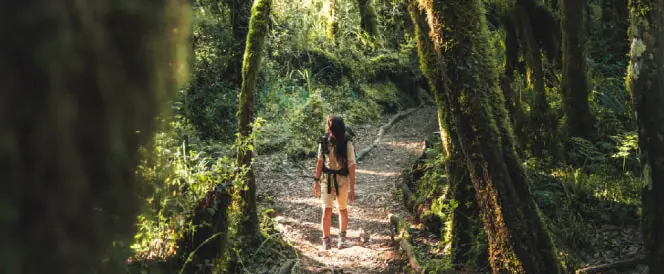 Ruta Umbwe – dan 2 – Trekking od Umbwe Gatea do Umbwe Campa