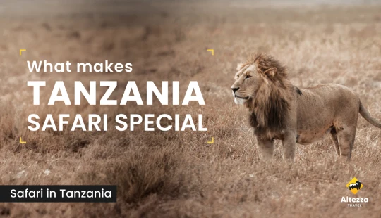 Po čemu je safari u Tanzaniji poseban