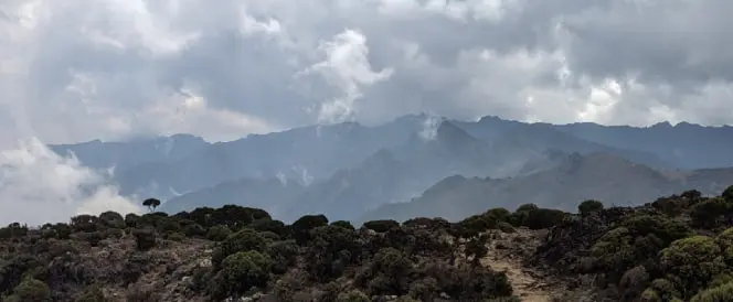 Ruta Umbwe – dan 3 – Trekking od Umbwe Campa do Barranco Campa