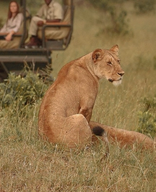 Nacionalni park Serengeti
