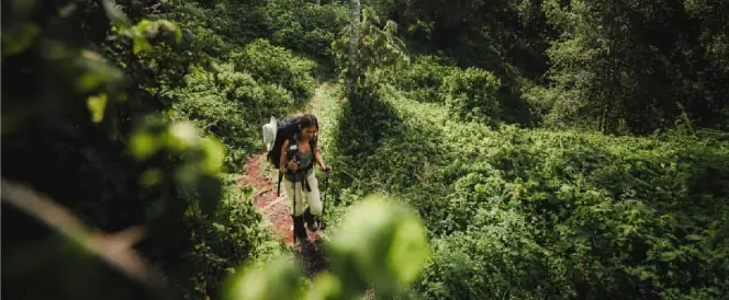 Planina Meru – dan 2 – Od Momella Gatea do Miriakamba Huta